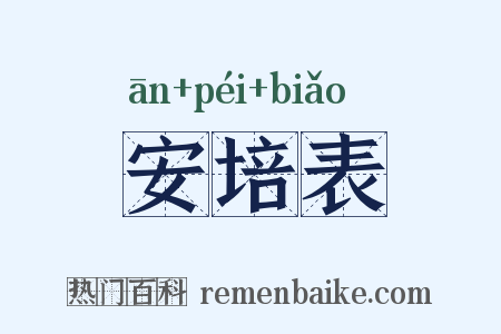 安培表是什么意思的图片